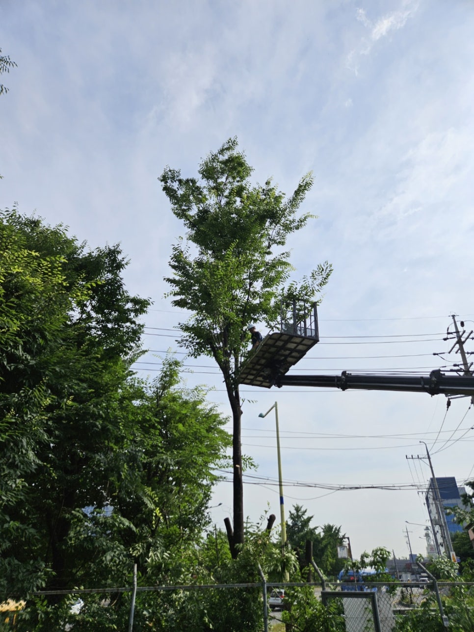 세진종합관리 이미지
