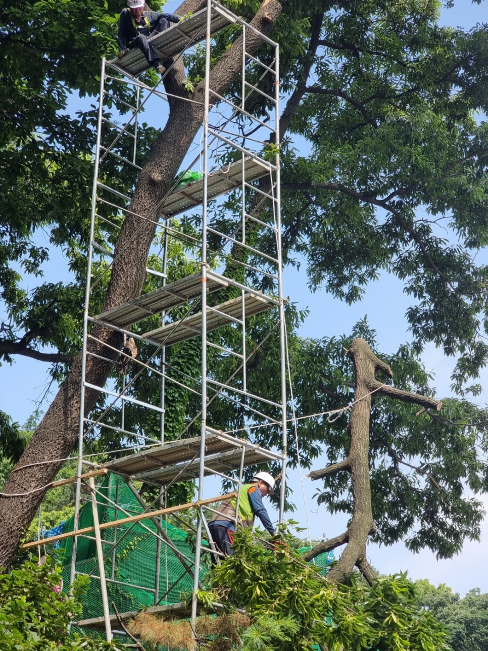 세진종합관리 이미지