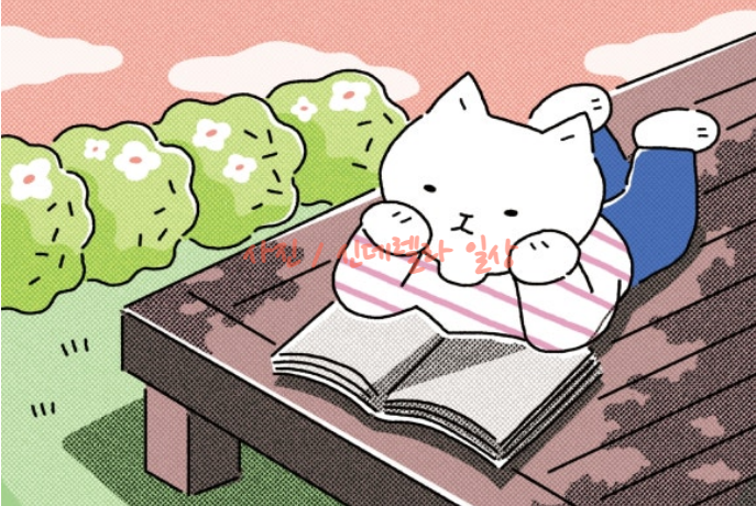 단양상회 이미지