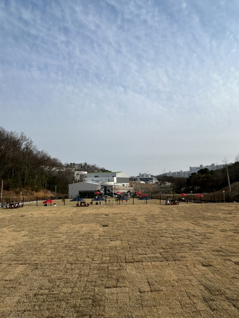 뛰뛰멍 이미지