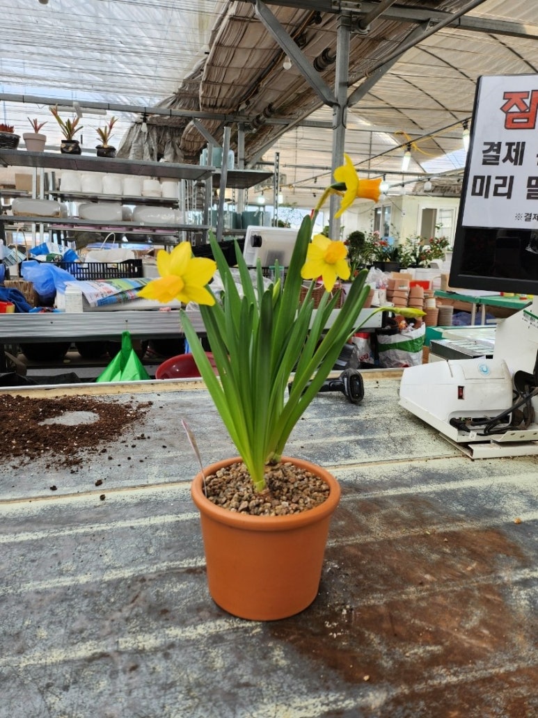 귀여농장 이미지