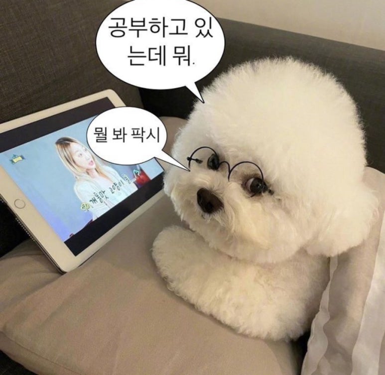 제니카페 이미지