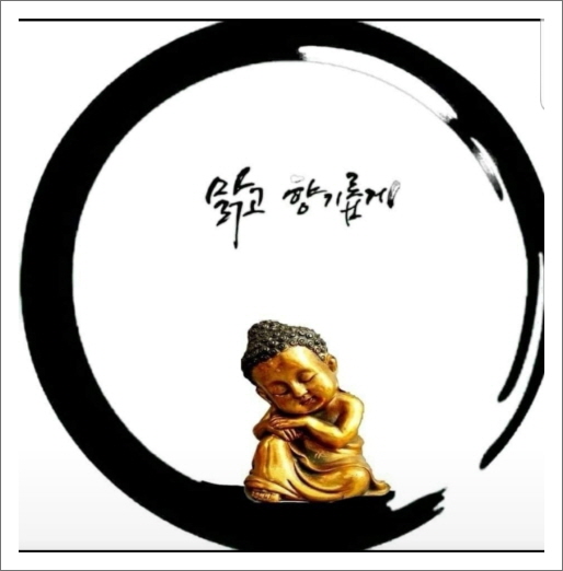 정답은꽃 이미지