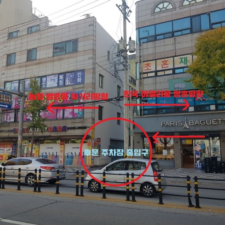 디디스포츠 이미지