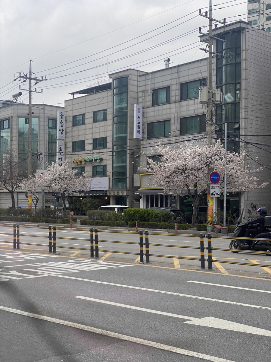 천송이커피숍 이미지