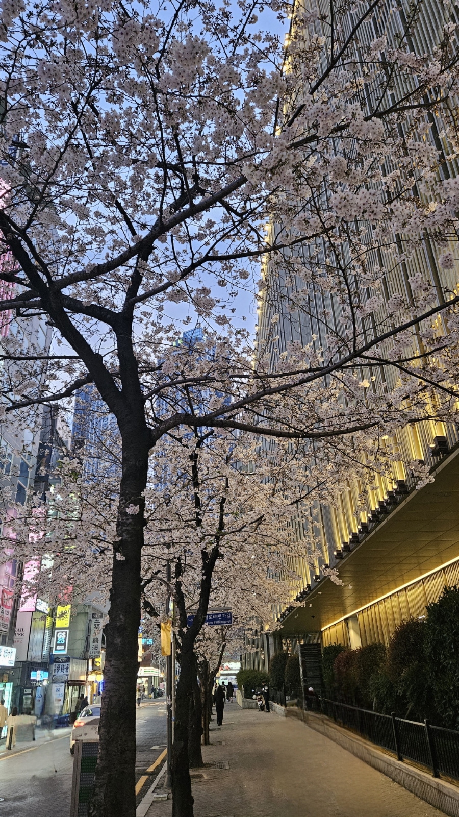 양산꼬꼬 이미지