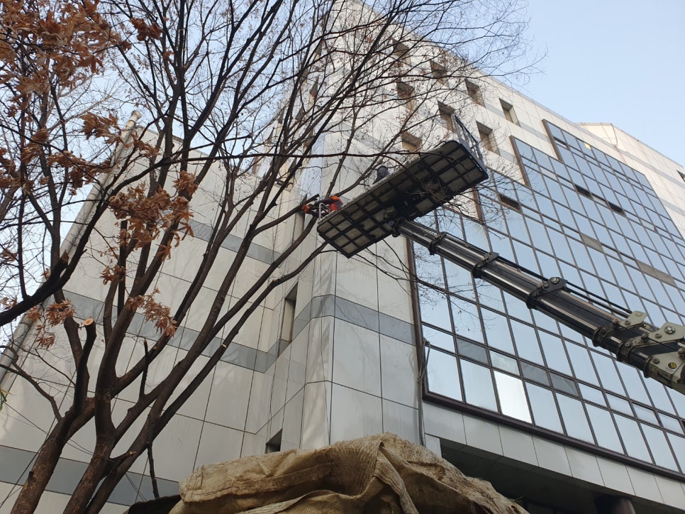 세진종합관리 이미지