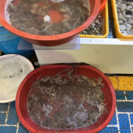 반도물산 이미지