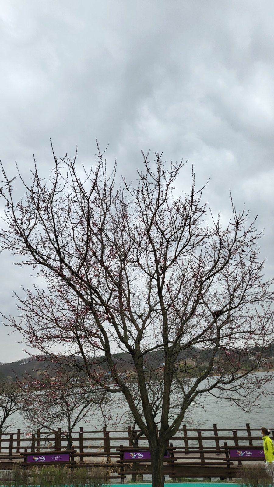 (주)올드밀 이미지