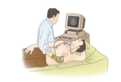 (주)가나위생 이미지