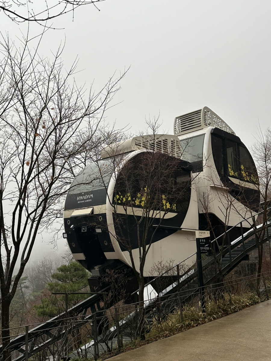 네일:화담 이미지