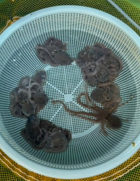 신안천사수산 이미지