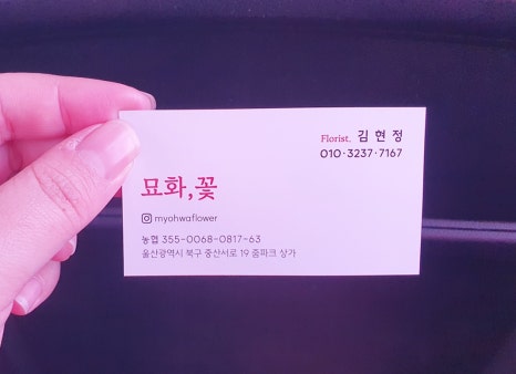 묘화꽃 이미지