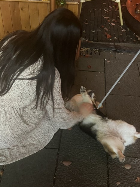 강우오일 이미지