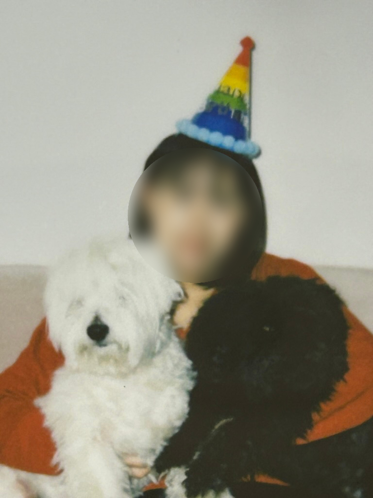 부에뜨 이미지