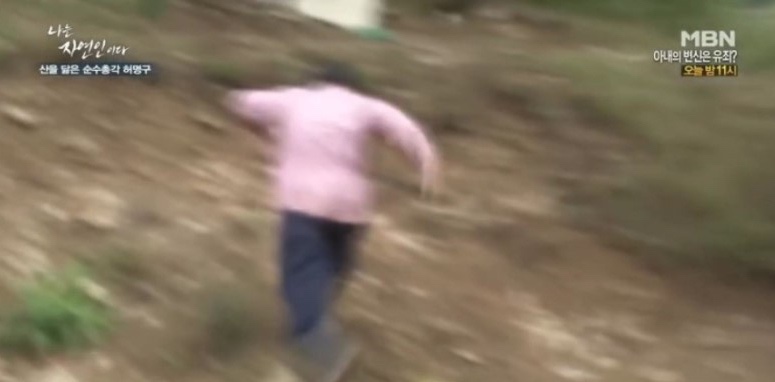 퍼팩트주짓수 이미지