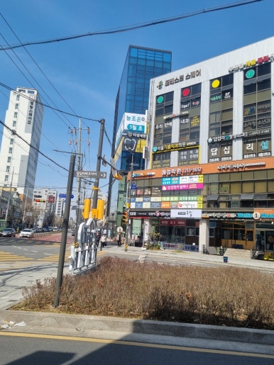 르무드헤어 이미지