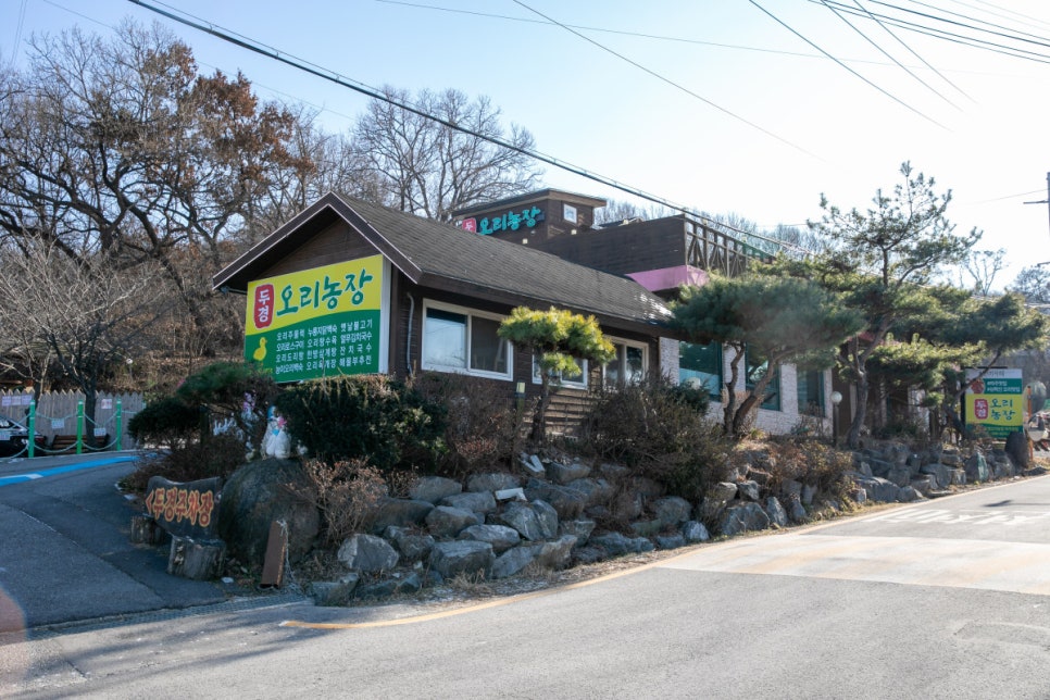 두경오리농장 이미지