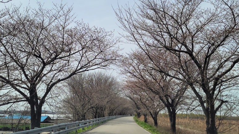 (주)빅원 이미지