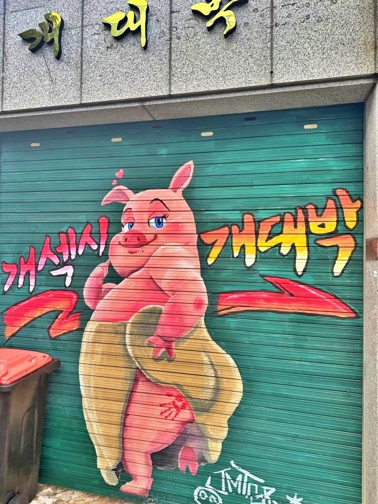 개대박 이미지