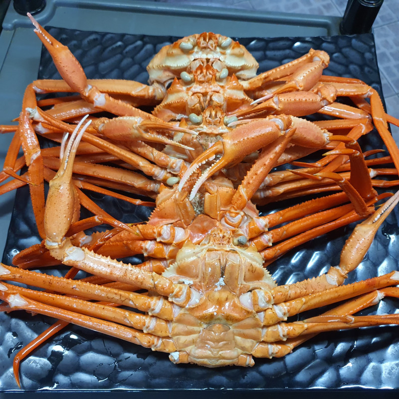 속초홍게 이미지