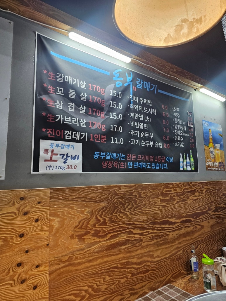 동부갈매기 이미지