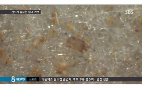 허니룸케어프리미엄 이미지
