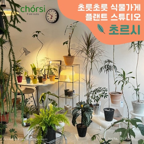 아트앤호프 이미지
