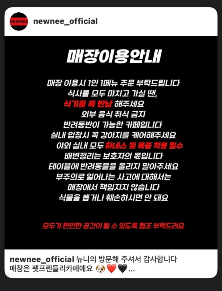 뉴니(NEWNEE) 이미지