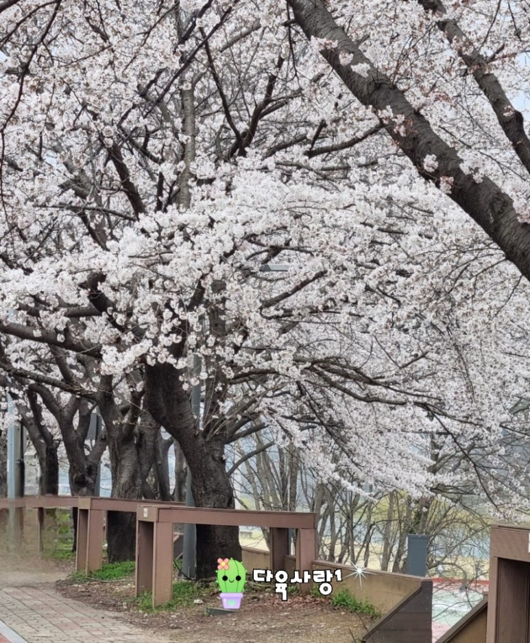 용마로주유소 이미지