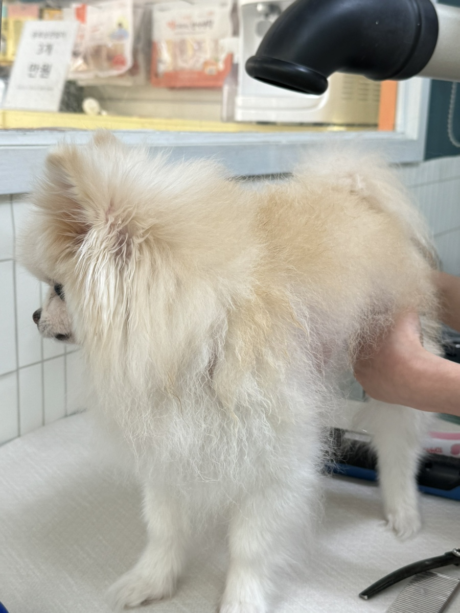 카페애띠 이미지