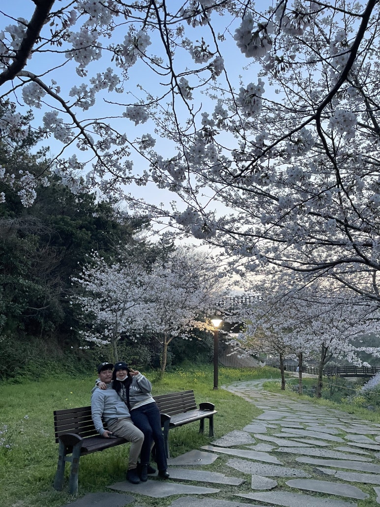 카페,메쥬 이미지