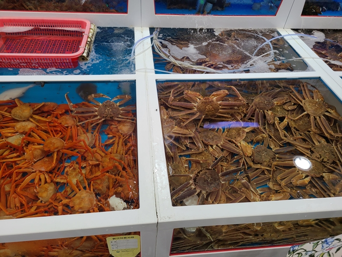 달인회대게 이미지