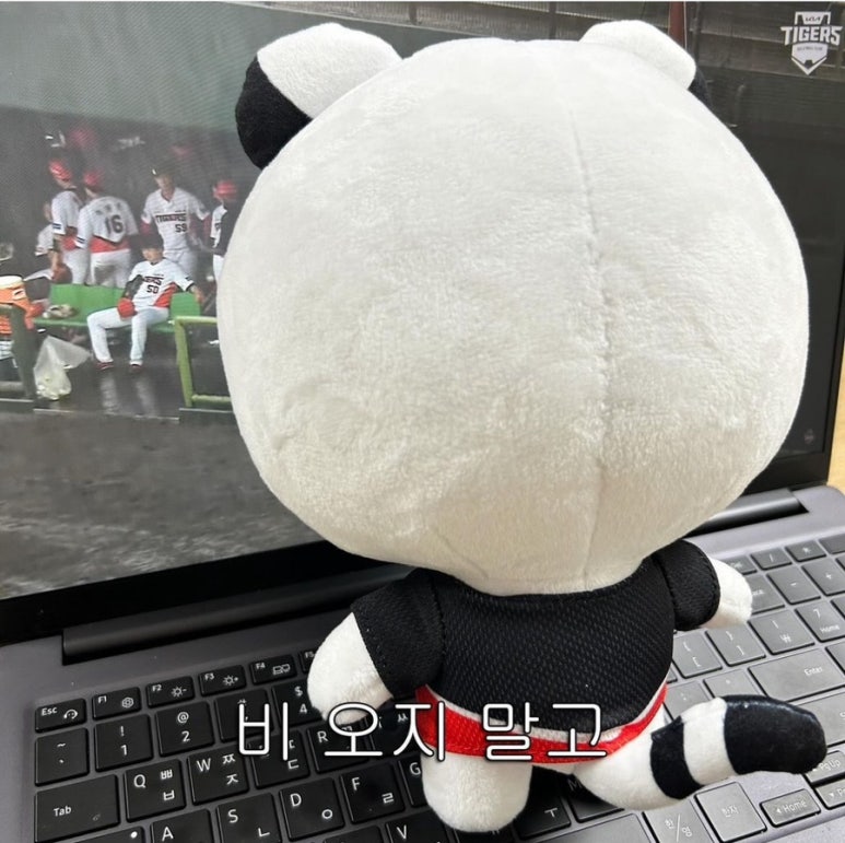 동산회관 이미지