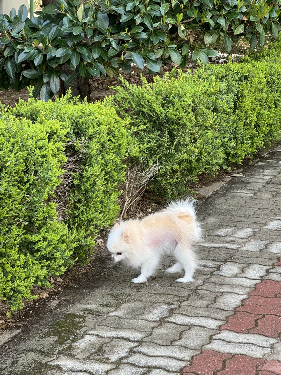 카페애띠 이미지