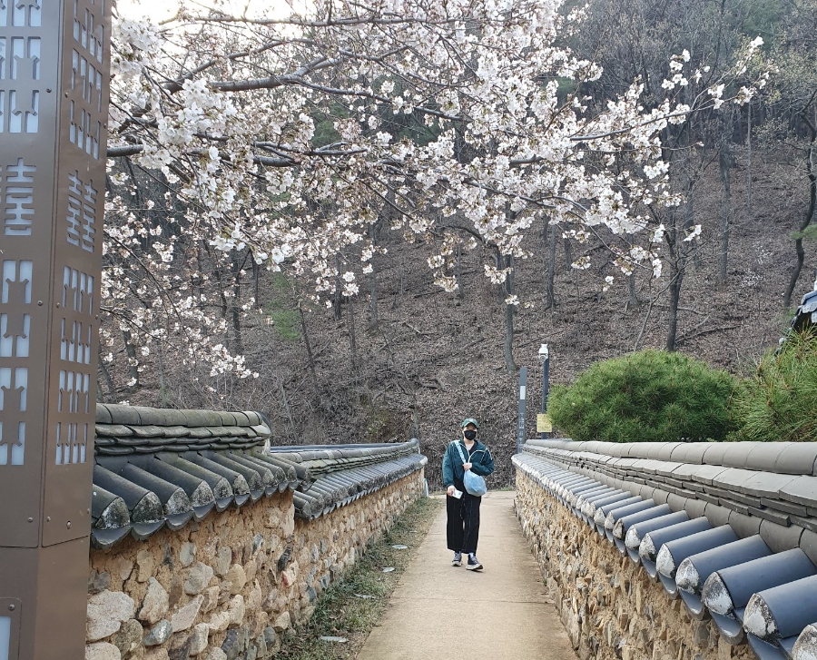 광장직업소개소 이미지