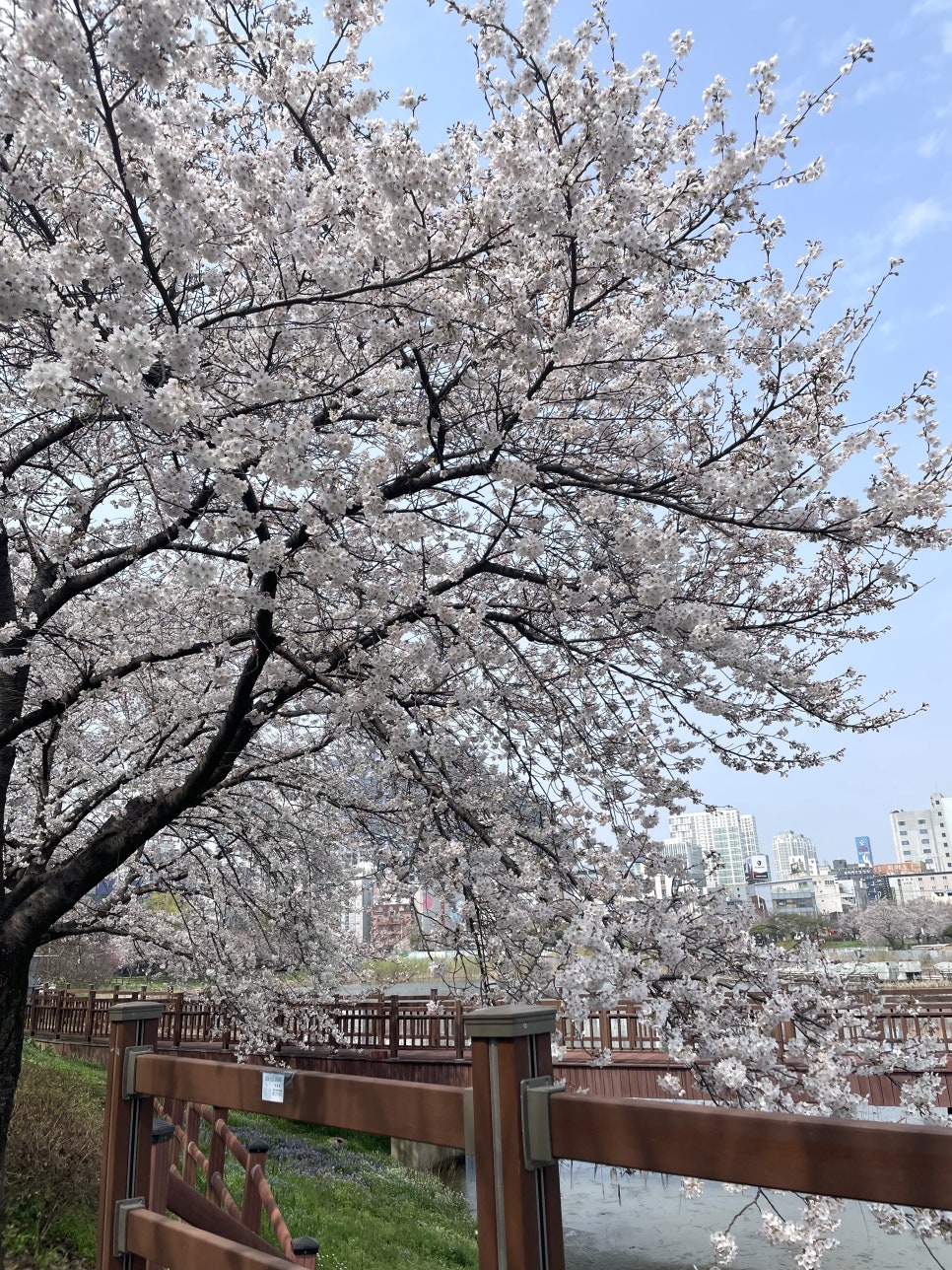 운천주유소 이미지