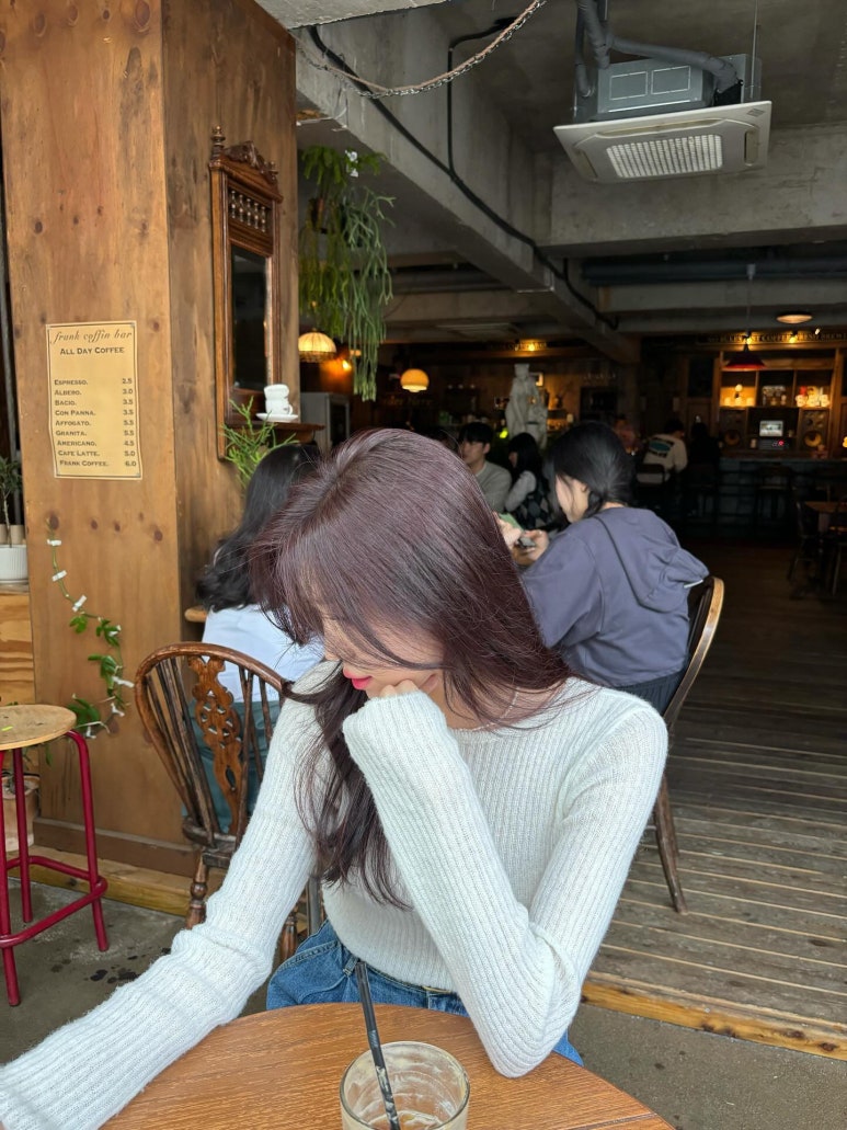로즈갤러리 이미지