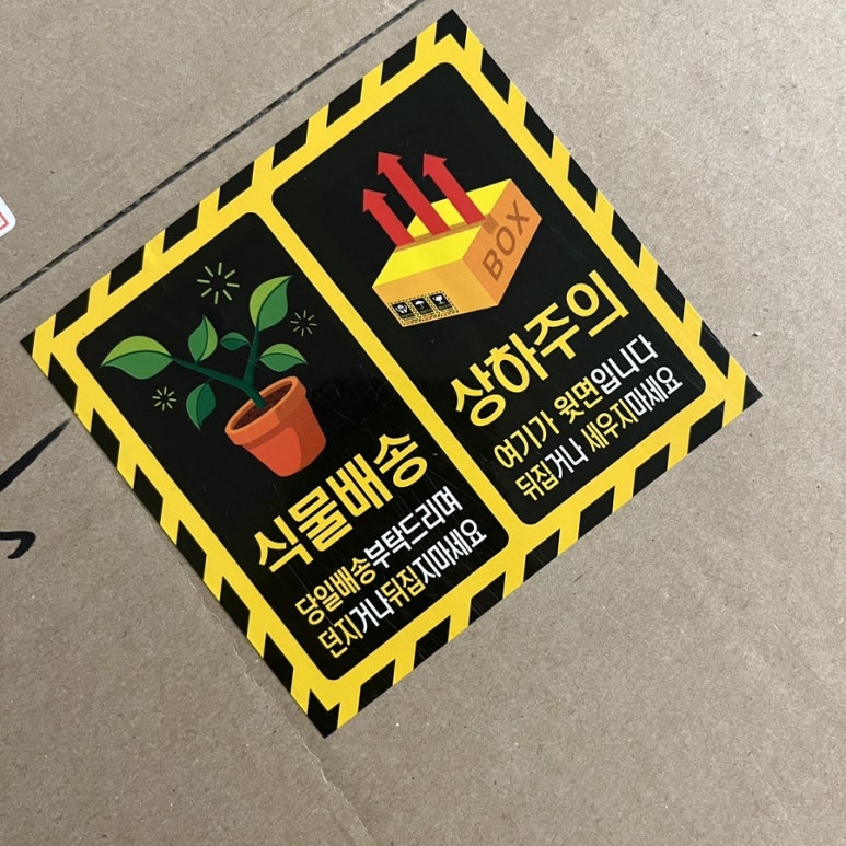 데이든(DAYDEN) 이미지
