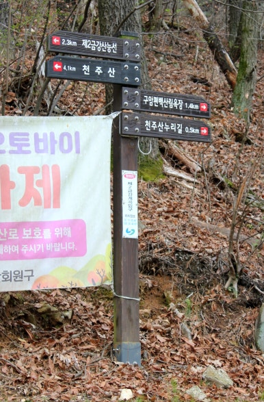카페라상떼 이미지