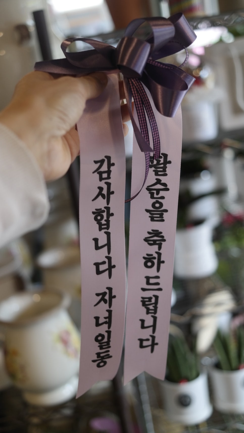 수정꽃화원 이미지