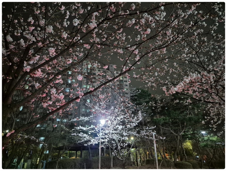 케이밴 이미지