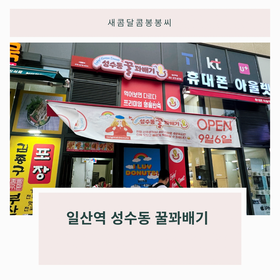 성수동꿀꽈배기일산 이미지