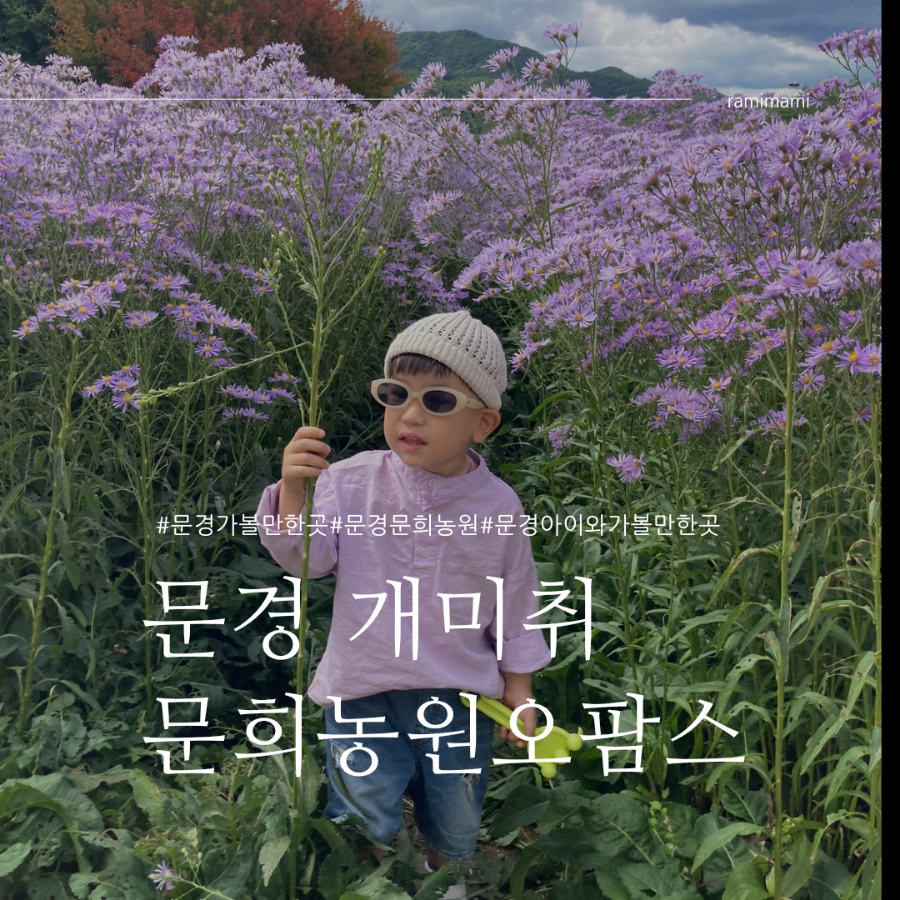 문희꽃밭 이미지