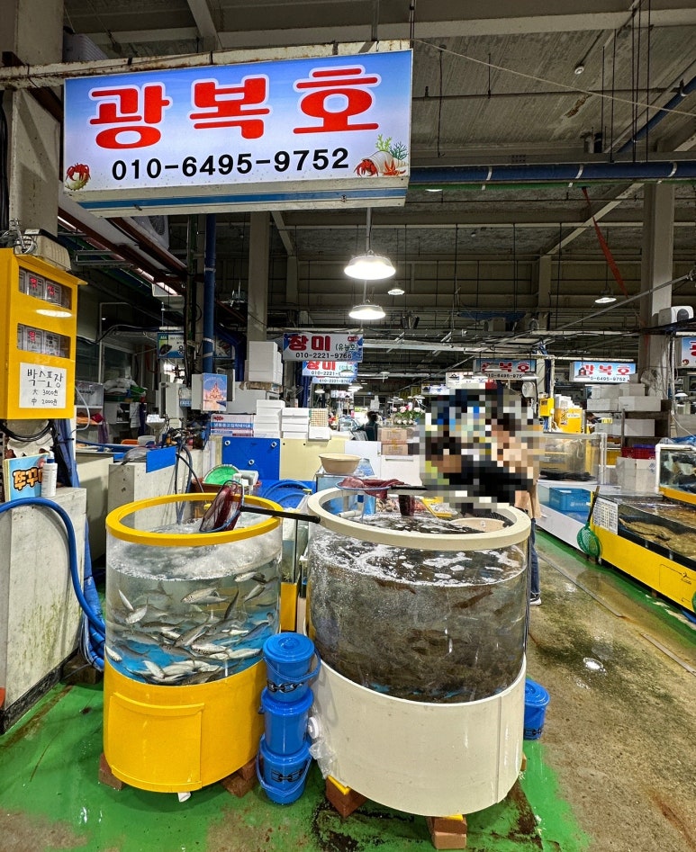 광복호 이미지