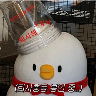 아돈 이미지