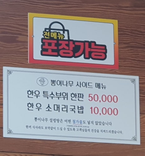 뽕이나무 이미지