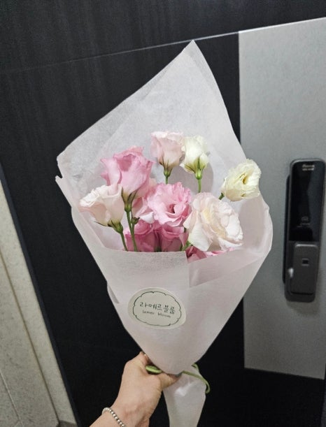 라메르블룸 이미지