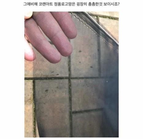 엘림그레이스 이미지