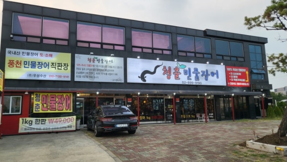 청춘민물장어 이미지